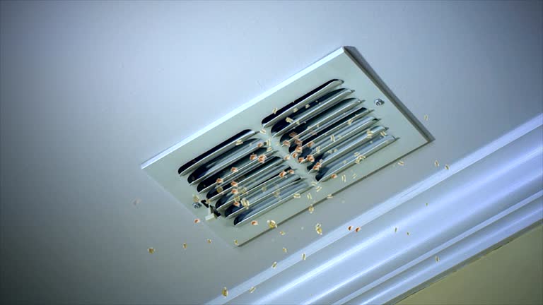 Best HVAC Duct Inspection Services  in Mascotte, FL