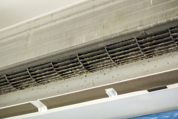 Best Professional Duct Cleaning Services  in Mascotte, FL